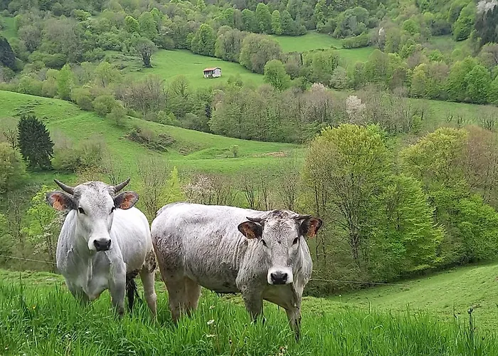 Hébergement de vacances La Réclot