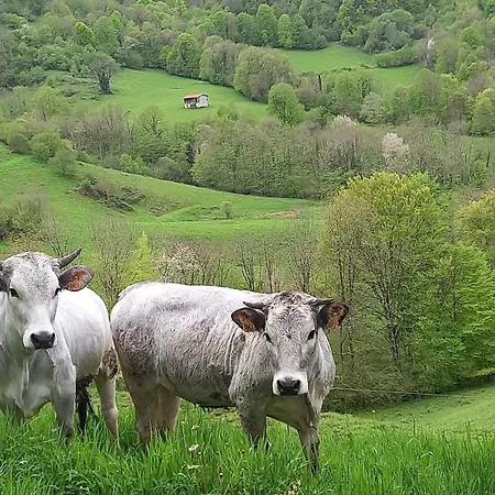 Сasa de vacaciones La Réclot