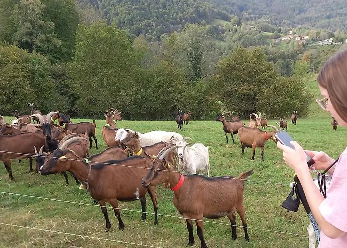 Ferienhaus La Reclot Herran